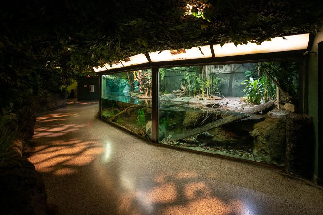 Image showcasing The History of the Reptile Building: The Oldest at the Columbus Zoo ...